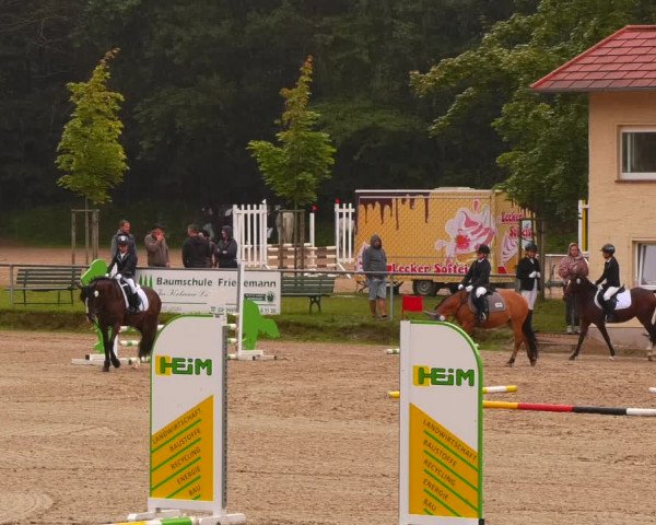 Reitturnier Lgl.-Oberhain, B95 2022