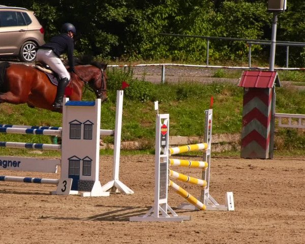 Reitturnier Lgl.-Oberhain, B95 2022