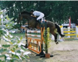 broodmare Lori La Bamba (German Warmblood, 1991, from Loredo)