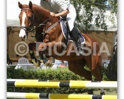 horse Granny 72 (Oldenburg show jumper, 2004, from Granny Smith 15)