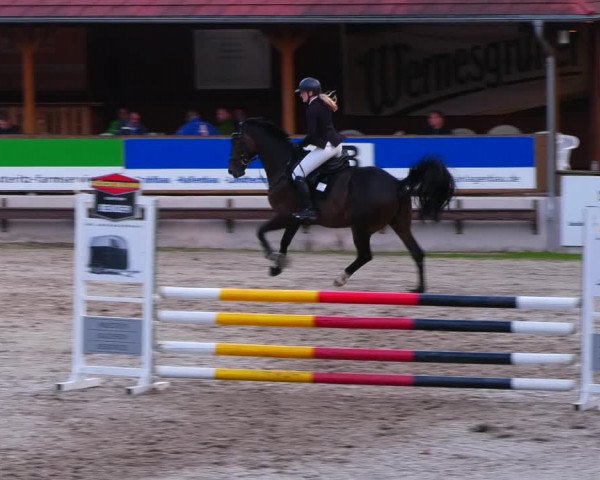 Reitturnier Lgl.-Oberhain, B95 2022