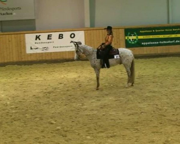 stallion Glamours Red Cloud (Appaloosa, 2006, from Mr. Zippo Scotch Bar)