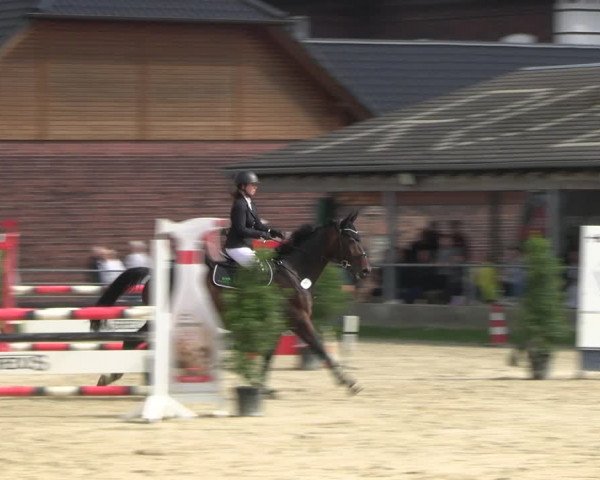 Reitturnier Dortmund-Barop 2022