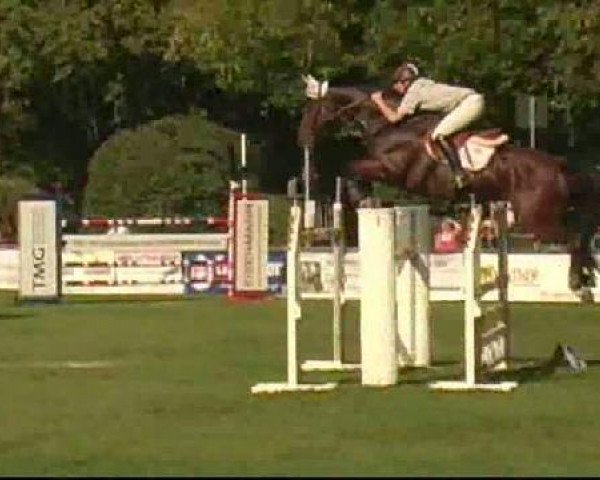 jumper Colino 19 (Westphalian, 2000, from Cantonius)