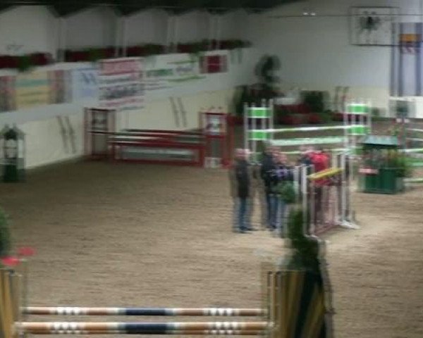 jumper Take your Time (German Riding Pony, 2003, from Top Pepino)