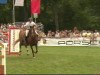 jumper Key West 14 (KWPN (Royal Dutch Sporthorse), 2002, from Kashmir van't Schuttershof)