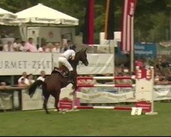 jumper Lex 57 (Oldenburg show jumper, 2003, from Laptop)