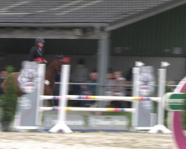 Reitturnier Dortmund-Barop 2022