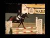 jumper Gatipis (Hanoverian, 1990, from Gimpel)