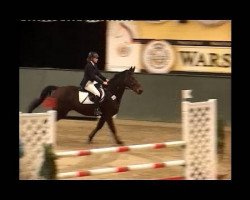 jumper Gatipis (Hanoverian, 1990, from Gimpel)