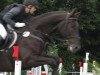 jumper Escouflair (Hanoverian, 2002, from Embassy I)