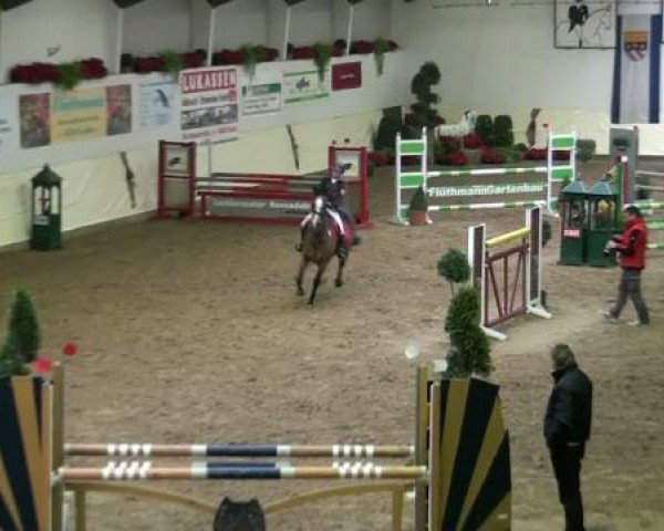 jumper Peppermint 56 (German Riding Pony, 1997, from Polydor)