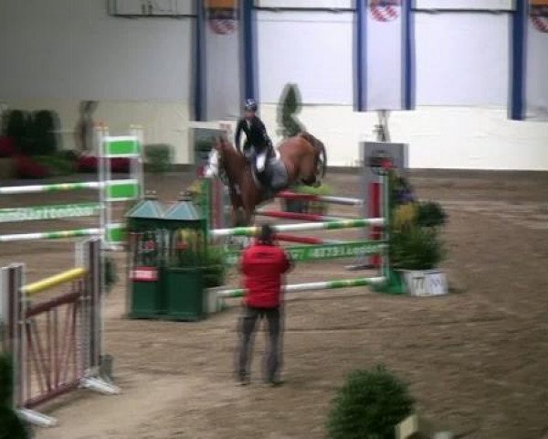 Springpferd Martin my love Mo (Deutsches Reitpony, 2005, von Mentos Charmeur)