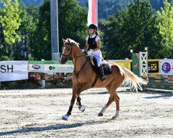 jumper Lord Luzianus (Mecklenburg, 2017, from Lord Weingard)