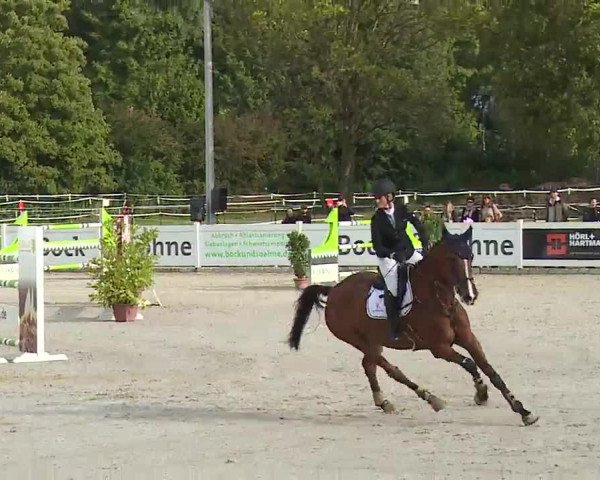 Reitturnier Babenhausen/Schw. 2022