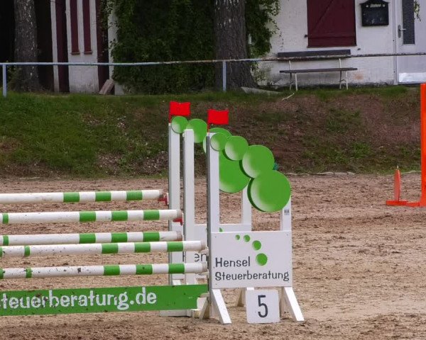 Reitturnier Lgl.-Oberhain, B95 2022