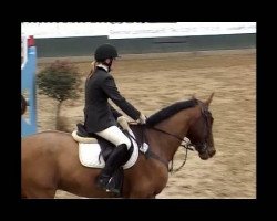 jumper Rebell 419 (Hanoverian, 1995, from Rabino)