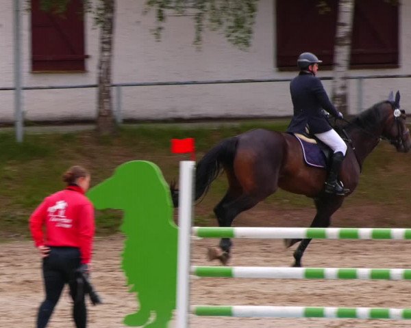 Reitturnier Lgl.-Oberhain, B95 2022