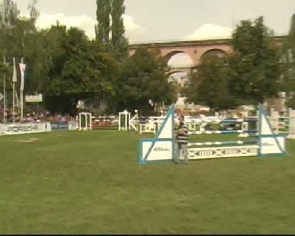 horse Larry 179 (Holsteiner, 2002, from Limbus)
