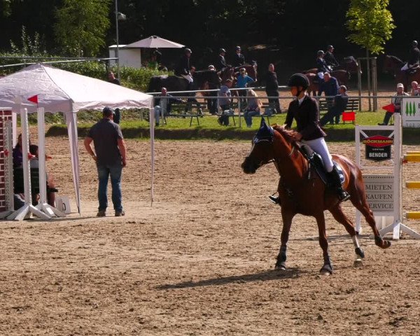Reitturnier Lgl.-Oberhain, B95 2022
