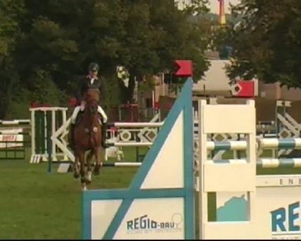 broodmare Part de Reve (Selle Français, 2003, from Burggraaf)