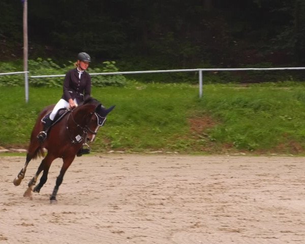 Reitturnier Lgl.-Oberhain, B95 2022