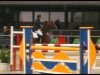 jumper Easy to Jump 2 (Hanoverian, 1997, from Espri)