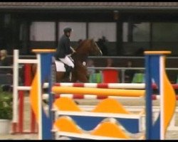 jumper Easy to Jump 2 (Hanoverian, 1997, from Espri)