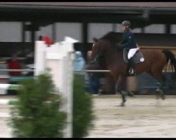 jumper Cathigo (Westphalian, 1996, from Pikeur Carino)