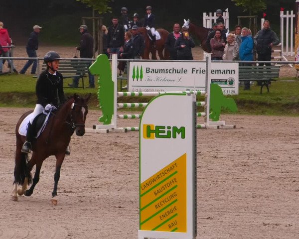 Reitturnier Lgl.-Oberhain, B95 2022