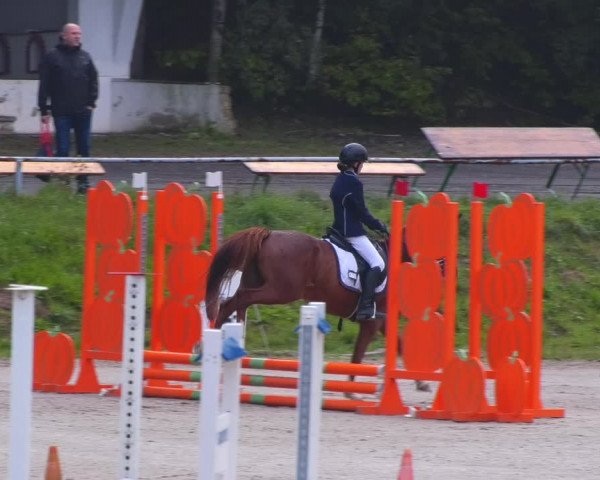 Reitturnier Lgl.-Oberhain, B95 2022