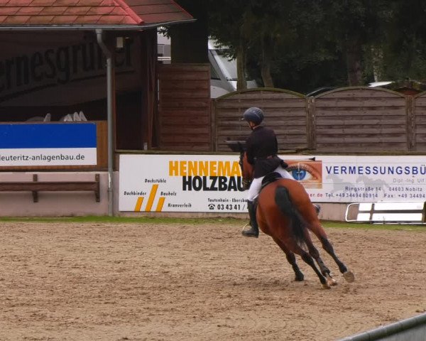 Reitturnier Lgl.-Oberhain, B95 2022