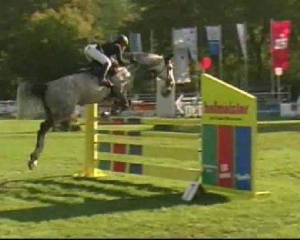 jumper Colani 59 (Holsteiner, 2005, from Cartani 4)