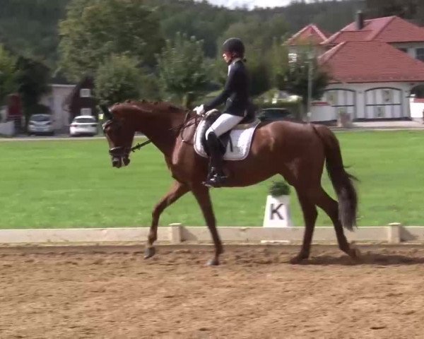 Reitturnier Babenhausen/Schw. 2022