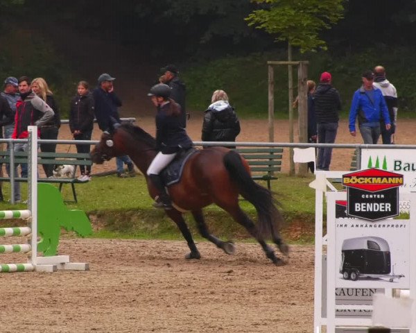 Reitturnier Lgl.-Oberhain, B95 2022
