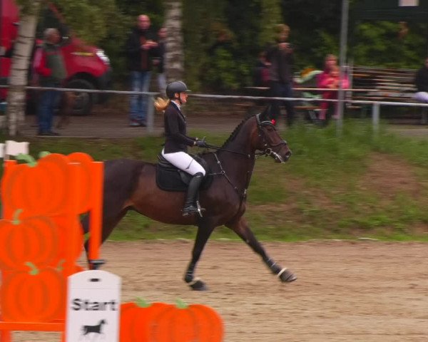Reitturnier Lgl.-Oberhain, B95 2022