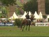 jumper Showman 11 (Hessian Warmblood, 1999, from Sunrise)