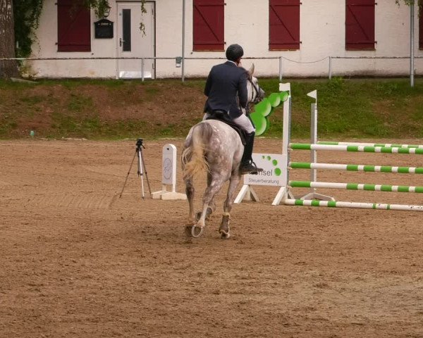 Reitturnier Lgl.-Oberhain, B95 2022