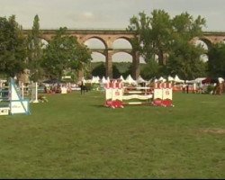 jumper Severino P (Hanoverian, 2001, from Sion)