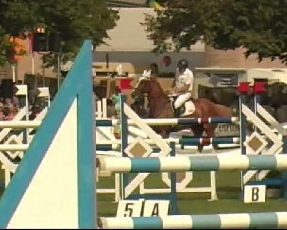 jumper Tres Certain (KWPN (Royal Dutch Sporthorse), 2000, from Guidam)