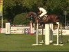 broodmare Quattro's Can Fly (Oldenburg, 2000, from Quattro B)