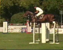 broodmare Quattro's Can Fly (Oldenburg, 2000, from Quattro B)