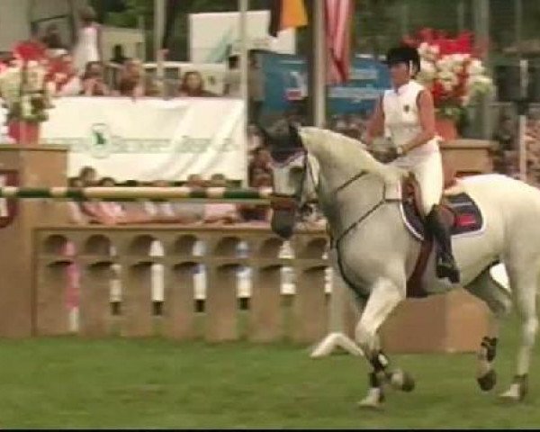 jumper Cohiba (Oldenburg, 2004, from Carry Gold)
