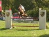 jumper Magnum du Chable CH (Swiss Warmblood, 2000, from Roy d'Artoire)