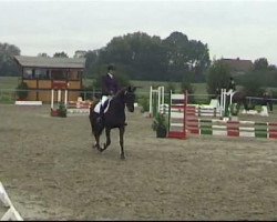 dressage horse Jazz-Dance (Rhinelander, 2006, from Jazz Rubin)