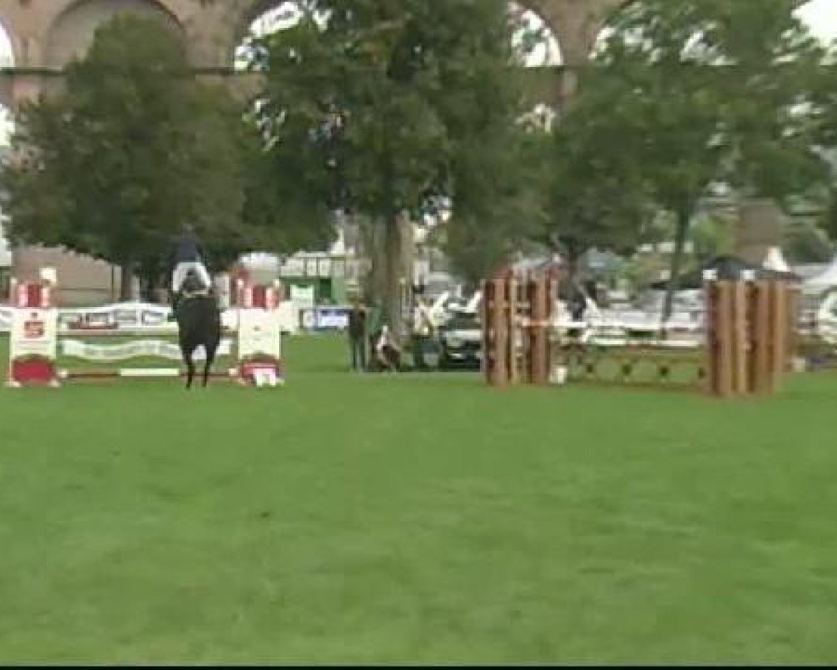 Springpferd Sportsman 12 (Hannoveraner, 2006, von Stolzenberg)