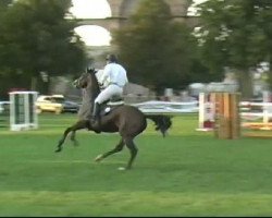 Springpferd Opale de Vierville (Selle Français, 2002, von Col Canto)