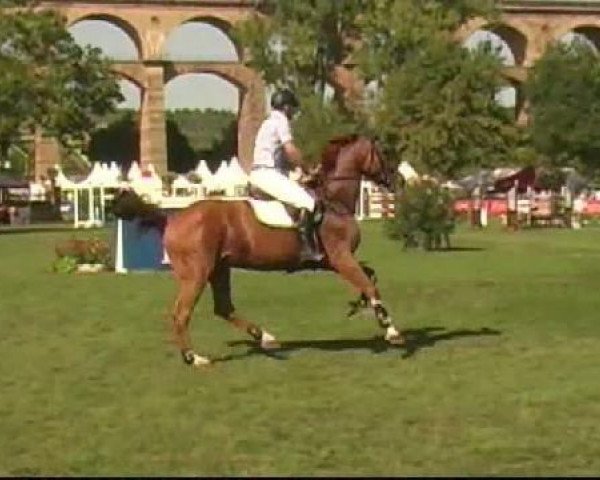 broodmare Part de Reve (Selle Français, 2003, from Burggraaf)