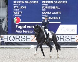 Dressurpferd Fogel Vom Lauf (Westfale, 2017, von Fürstenball)