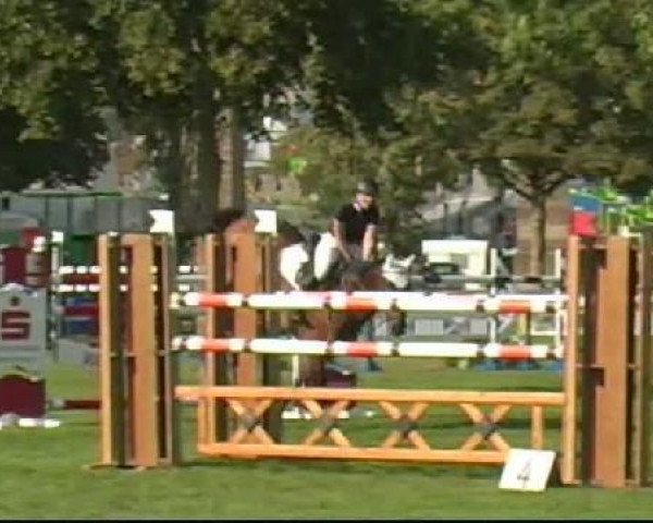 jumper Rambler 2 (Zangersheide riding horse, 1995, from Rex Z)